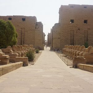 Karnak temple- Egypt Light Tours 6